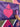 The Signature mainelove Flag