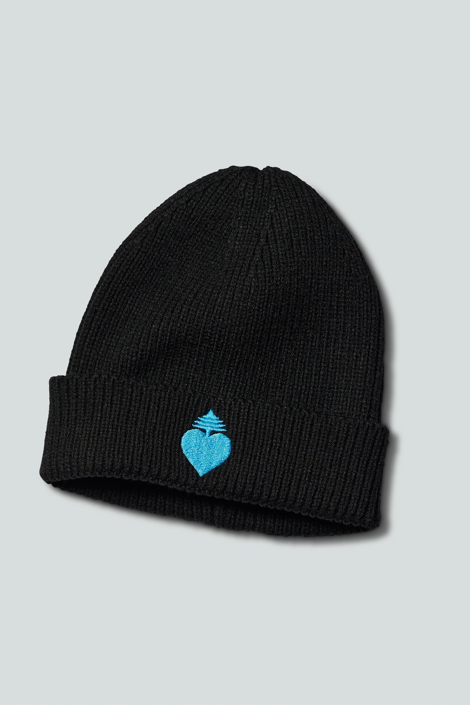Mainely Cozy Beanie (Black)