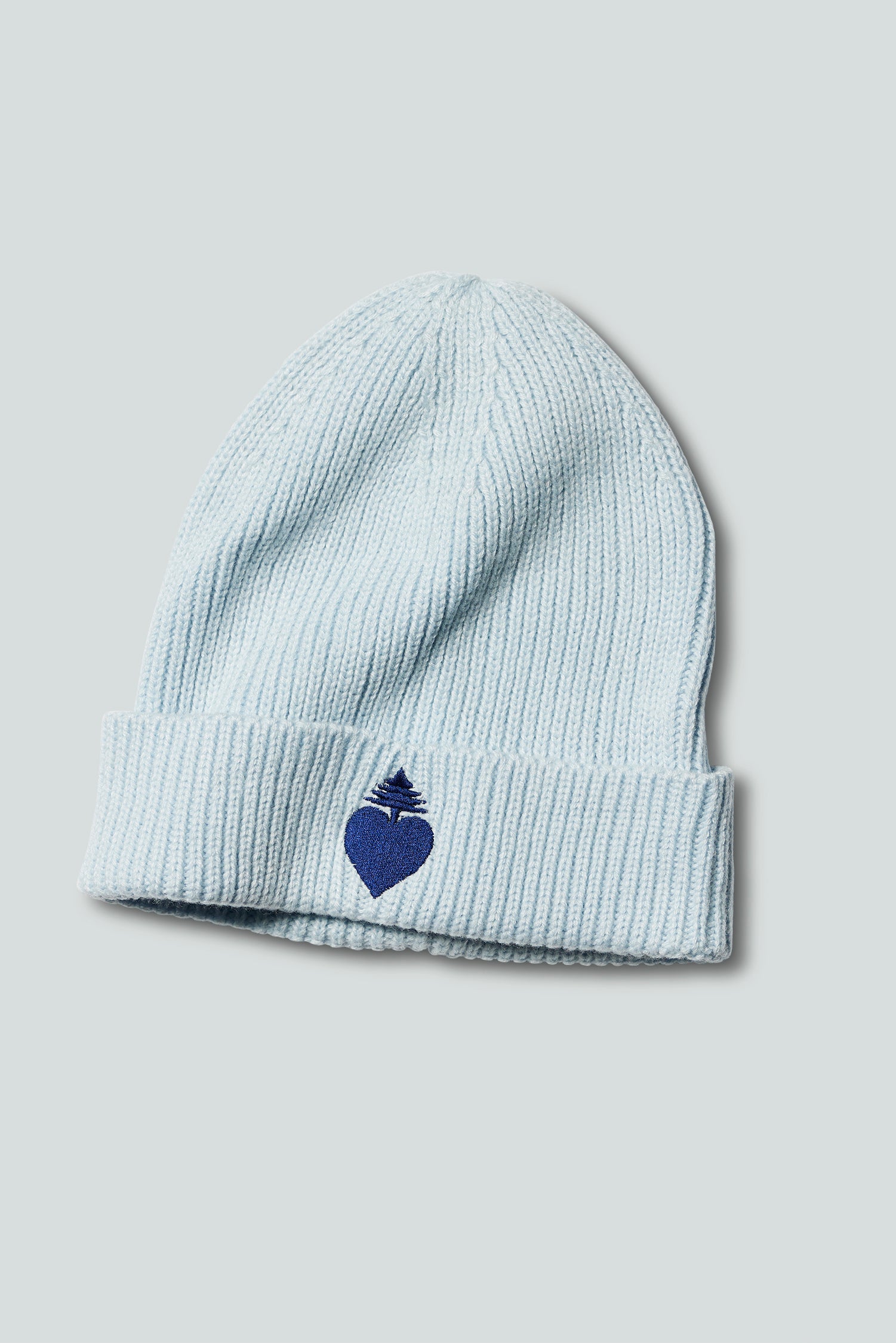 Mainely Cozy Beanie (Light Blue)
